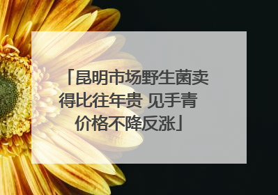 昆明市场野生菌卖得比往年贵 见手青价格不降反涨