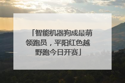 智能机器狗成最萌领跑员，平阳红色越野跑今日开赛