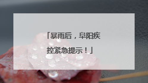 暴雨后，阜阳疾控紧急提示！