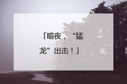 暗夜，“猛龙”出击！