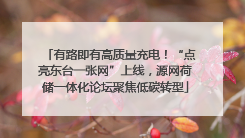 有路即有高质量充电！“点亮东台一张网”上线，源网荷储一体化论坛聚焦低碳转型