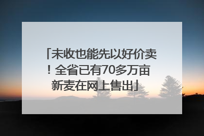 未收也能先以好价卖！全省已有70多万亩新麦在网上售出