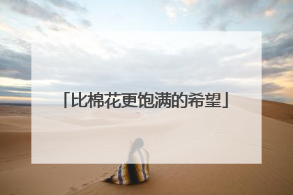 比棉花更饱满的希望