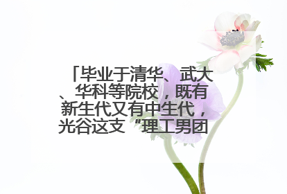 毕业于清华、武大、华科等院校，既有新生代又有中生代，光谷这支“理工男团”为何“出道”？