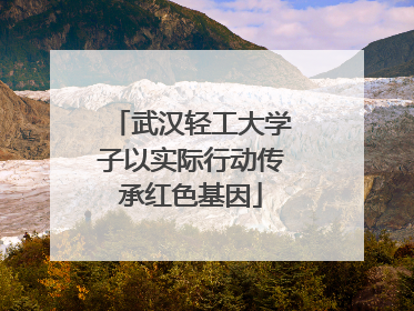 武汉轻工大学子以实际行动传承红色基因