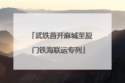 武铁首开麻城至厦门铁海联运专列