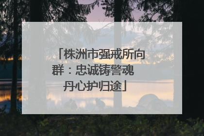 株洲市强戒所向群：忠诚铸警魂 丹心护归途