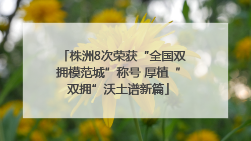 株洲8次荣获“全国双拥模范城”称号 厚植“双拥”沃土谱新篇