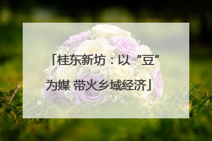 桂东新坊：以“豆”为媒 带火乡域经济