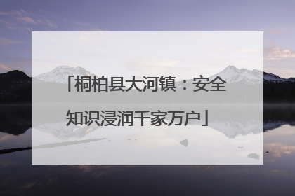 桐柏县大河镇：安全知识浸润千家万户