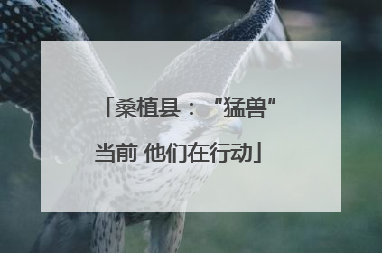 桑植县：“猛兽”当前 他们在行动