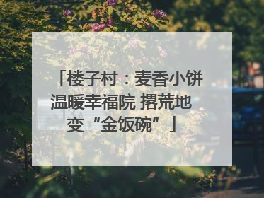 楼子村：麦香小饼温暖幸福院 撂荒地变“金饭碗”