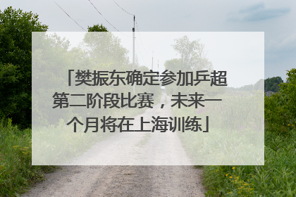 樊振东确定参加乒超第二阶段比赛，未来一个月将在上海训练