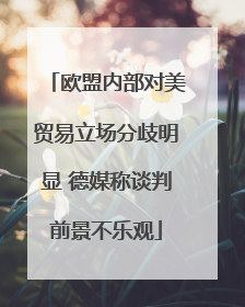 欧盟内部对美贸易立场分歧明显 德媒称谈判前景不乐观