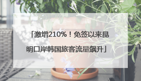 激增210%！免签以来昆明口岸韩国旅客流量飙升
