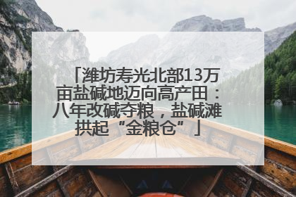 潍坊寿光北部13万亩盐碱地迈向高产田：八年改碱夺粮，盐碱滩拱起“金粮仓”