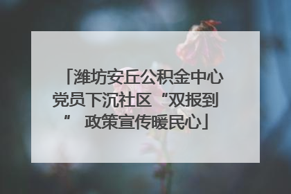 潍坊安丘公积金中心党员下沉社区“双报到” 政策宣传暖民心