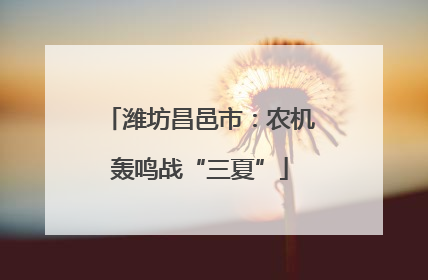潍坊昌邑市：农机轰鸣战“三夏”