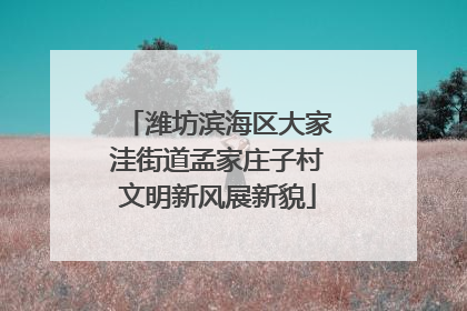 潍坊滨海区大家洼街道孟家庄子村文明新风展新貌
