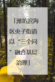 潍坊滨海区央子街道以“三个问”融合基层治理