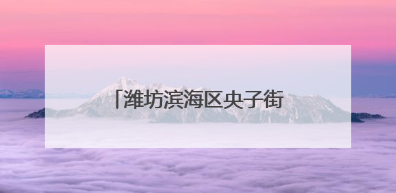 潍坊滨海区央子街道多措并举全力护航粮食丰产丰收