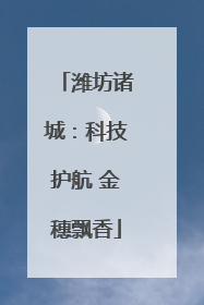 潍坊诸城：科技护航 金穗飘香