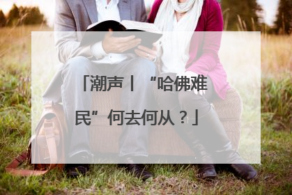 潮声丨“哈佛难民”何去何从？