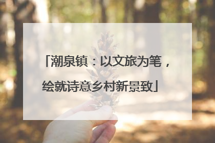 潮泉镇：以文旅为笔，绘就诗意乡村新景致