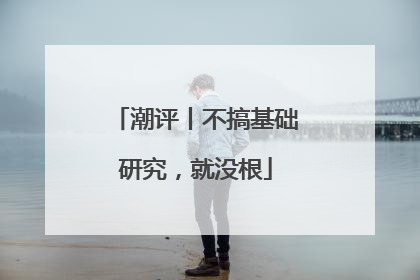 潮评丨不搞基础研究，就没根