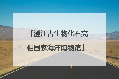 澄江古生物化石亮相国家海洋博物馆