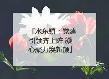 水东镇：党建引领齐上阵 凝心聚力焕新颜