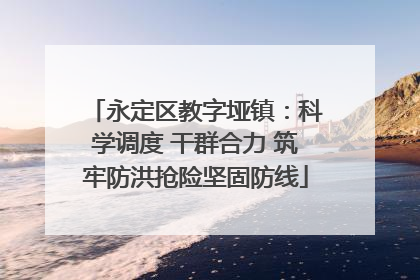 永定区教字垭镇：科学调度 干群合力 筑牢防洪抢险坚固防线