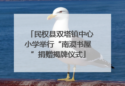 民权县双塔镇中心小学举行“南溟书屋”捐赠揭牌仪式