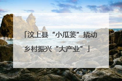 汶上县“小瓜蒌”撬动乡村振兴“大产业”