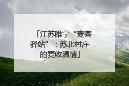 江苏睢宁“麦客驿站”：苏北村庄的麦收温情