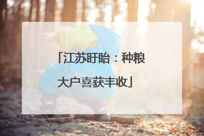 江苏盱眙：种粮大户喜获丰收