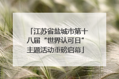 江苏省盐城市第十八届“世界认可日”主题活动重磅启幕