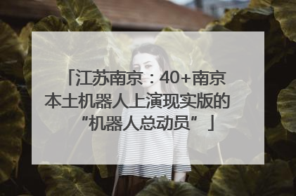 江苏南京：40+南京本土机器人上演现实版的“机器人总动员”