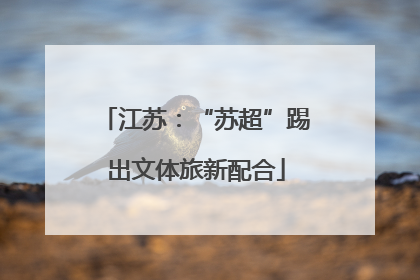 江苏：“苏超”踢出文体旅新配合