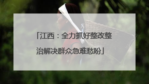 江西：全力抓好整改整治解决群众急难愁盼