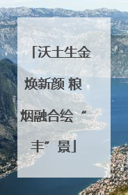 沃土生金焕新颜 粮烟融合绘“丰”景