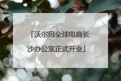 沃尔玛全球电商长沙办公室正式开业