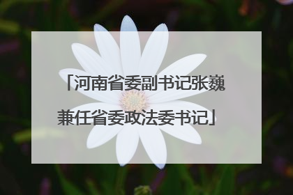 河南省委副书记张巍兼任省委政法委书记