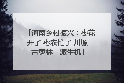 河南乡村振兴：枣花开了 枣农忙了 川塬古枣林一派生机