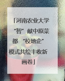 河南农业大学“智”献中原菜都 “校地企”模式共绘丰收新画卷