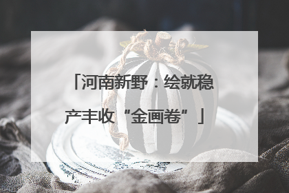 河南新野：绘就稳产丰收“金画卷”