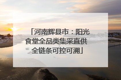 河南辉县市：阳光食堂全品类集采直供 全链条可控可溯