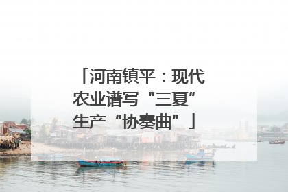 河南镇平：现代农业谱写“三夏”生产“协奏曲”