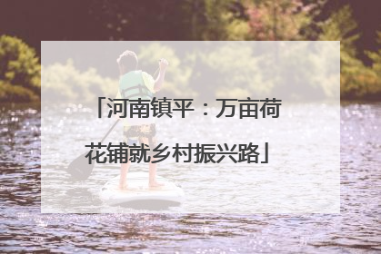 河南镇平：万亩荷花铺就乡村振兴路
