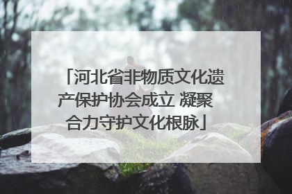 河北省非物质文化遗产保护协会成立 凝聚合力守护文化根脉